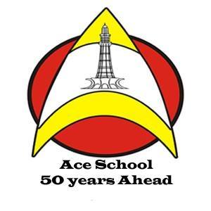 ACE School